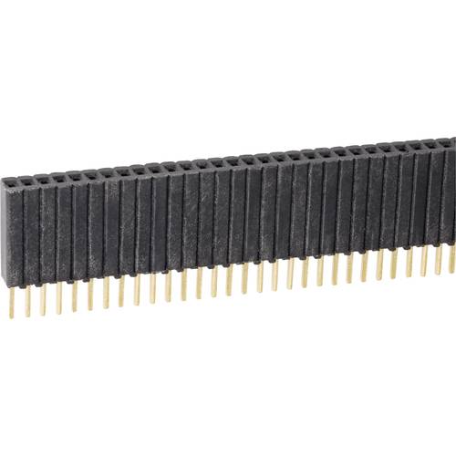 Thumbnail - Fischer Elektronik Buchsenleiste (Standard) Anzahl Reihen: 1 Polzahl je Reihe: 36 BLM KG 1/ 36/G 1 St.
