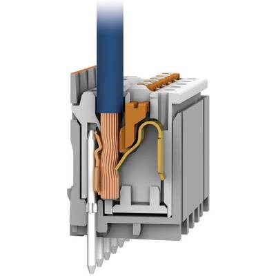 Steckverbinder im Querschnitt zeigt innenliegende Kabelverbindung und Kontakte. Kabel in Blau, interne Verbindungen in Orange.