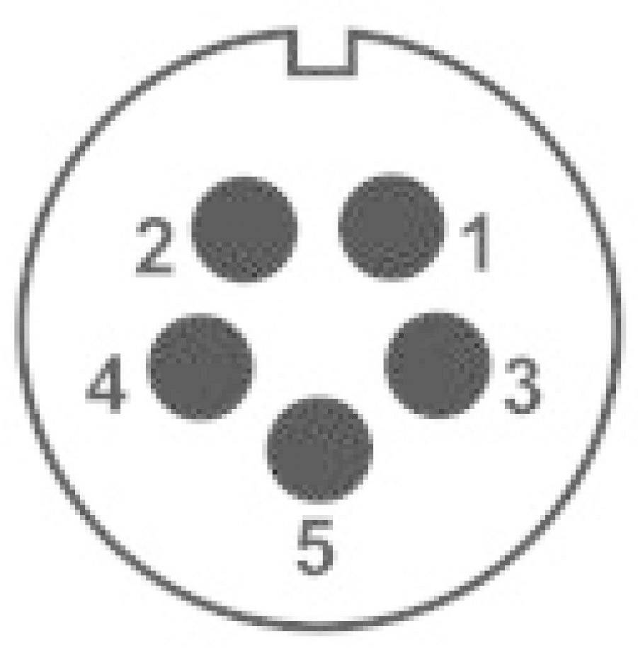 Ein runder Mini-DIN-Stecker mit fünf Pins, nummeriert von 1 bis 5, angeordnet in einem Kreis.