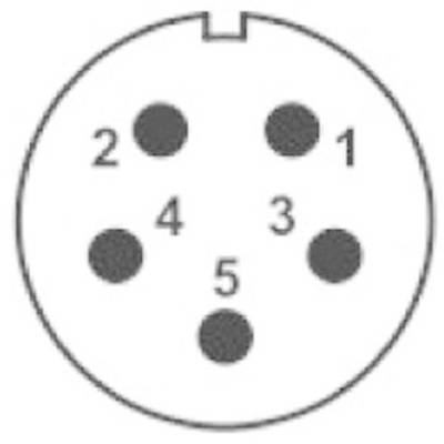 Steckerdiagramm eines 5-poligen DIN-Steckers. Die Pins sind nummeriert von 1 bis 5 in einem kreisförmigen Muster angeordnet.