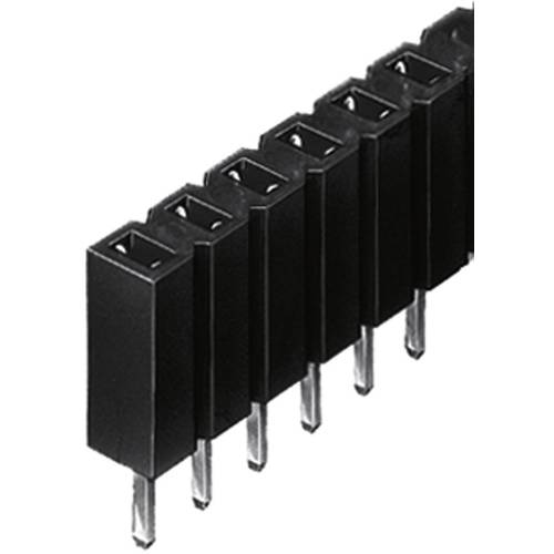 Fischer Elektronik Buchsenleiste (Standard) Anzahl Reihen: 1 Polzahl je Reihe: 36 BL 1/ 36/Z 1 St.