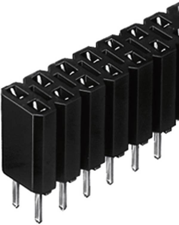 Fischer Elektronik Buchsenleiste (Standard) Anzahl Reihen: 2 Polzahl je Reihe: 36 10026397 1 St.