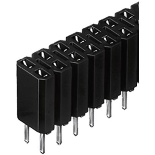 Fischer Elektronik Buchsenleiste (Standard) Anzahl Reihen: 2 Polzahl je Reihe: 36 BL 2/ 72/Z 1 St.