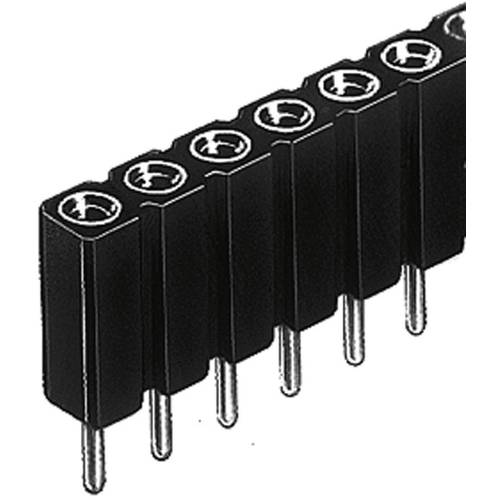 Fischer Elektronik Buchsenleiste (Präzision) Anzahl Reihen: 1 Polzahl je Reihe: 36 BL 5 025/ 36/Z 1 St.