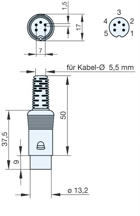 Hirschmann 930 016-517-1 DIN-Rundsteckverbinder Stecker, gerade Polzahl: 5 Grau 1 St.-2