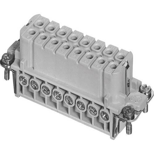 Amphenol C146 10B016 002 4-1 Buchseneinsatz versilberte Kontakte 1 St.