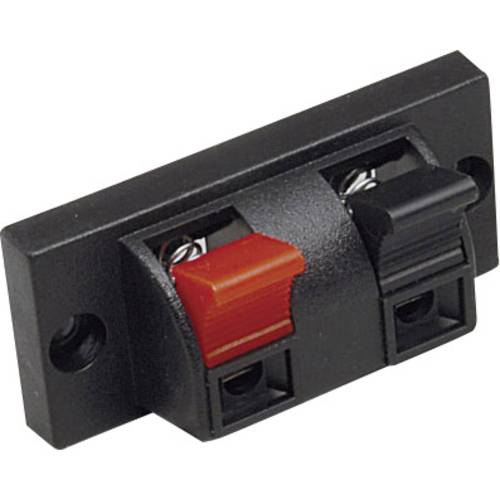 BKL Electronic 0205025 Lautsprecher-Steckverbinder Buchse, Einbau vertikal Polzahl: 2 Schwarz 1 St.