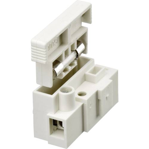 Adels-Contact 20229 Lüsterklemme flexibel: 2.5-4 mm² starr: 2.5-4 mm² Polzahl: 1 1 St. Weiß