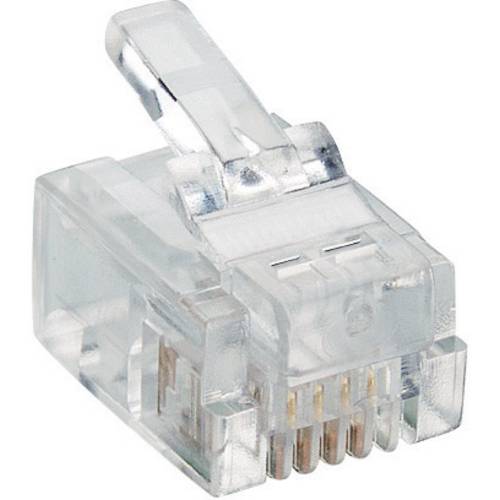 Lumberg P 127 Modularstecker P 127 Stecker, gerade Polzahl Sensoren 6P4C Transparent 1 St.