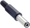 Lumberg XNES/J 250 Niedervolt-Steckverbinder Stecker, gerade 5.5 mm 2.5 mm 1 St.