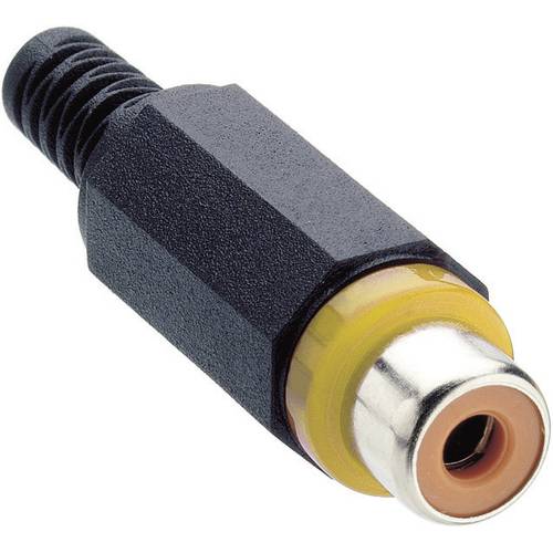 Lumberg XKTO 1-YE Cinch-Steckverbinder Buchse, gerade Polzahl: 2 Gelb 1 St.