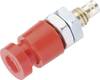 Schnepp EBU 2424 Laborbuchse Buchse, Einbau vertikal Stift-Ø: 2.4 mm Rot 1 St.