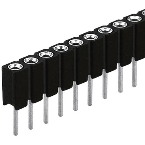 Fischer Elektronik Buchsenleiste (Präzision) Anzahl Reihen: 1 Polzahl je Reihe: 50 BLY 1/ 50 1 St.