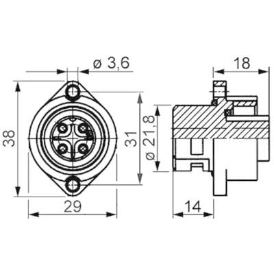 'Technische Zeichnung eines Steckers mit Abmessungen: 38mm Höhe, 29mm Breite. Zwei Ansichten: Vorderansicht zeigt vier Pins, Seitenansicht zeigt interne Struktur.'