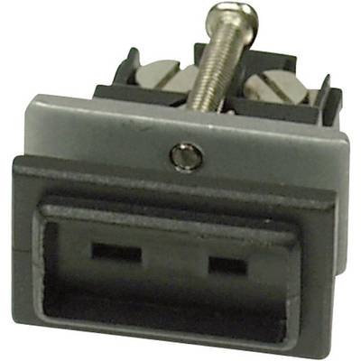 Bildausschnitt eines elektrischen Steckverbinders mit zwei Anschlussschrauben und einer aufgesetzten Schraube.