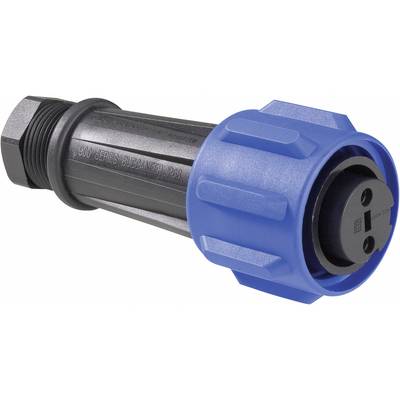 Industrie-Stecker Buchse: zylindrisch, schwarz, blaues Kabelabschlussstück, robustes Kunststoffgehäuse für Schwerlastanwendungen.