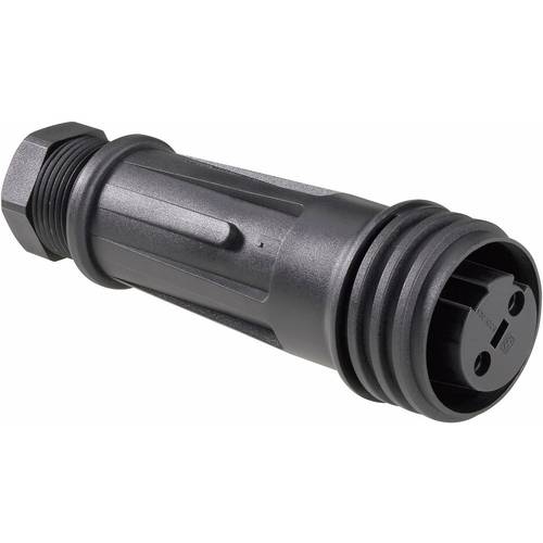 Bulgin PX0921/05/S Rundstecker Buchse, gerade Gesamtpolzahl: 5 Serie (Rundsteckverbinder): PX 1 St.