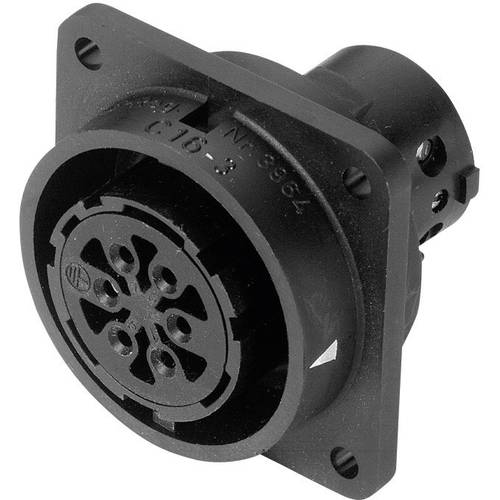 Amphenol C016 10G019 000 2 Rundstecker Buchse, Einbau Gesamtpolzahl: 19 + PE Serie (Rundsteckverbinder): C016 1 St.