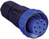 Bulgin PX0410/08S/6065 Rundstecker Stecker, gerade Gesamtpolzahl: 8 Serie (Rundsteckverbinder): PX04 1 St.
