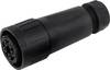 Hochstromsteckverbinder - IP65 C016 20E004 800 2 Schwarz Amphenol Inhalt: 1 St.