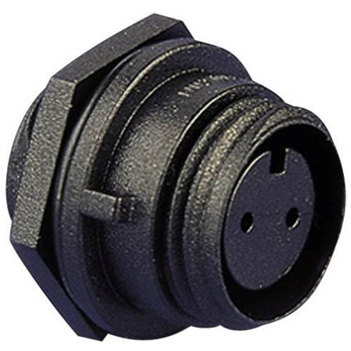 Bulgin PX0412/12S Rundstecker Stecker, Einbau Gesamtpolzahl: 12 Serie (Rundsteckverbinder): PX04 1 St.