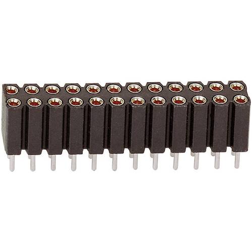 BKL Electronic Buchsenleiste (Präzision) Anzahl Reihen: 2 Polzahl je Reihe: 13 10120848 1 St.