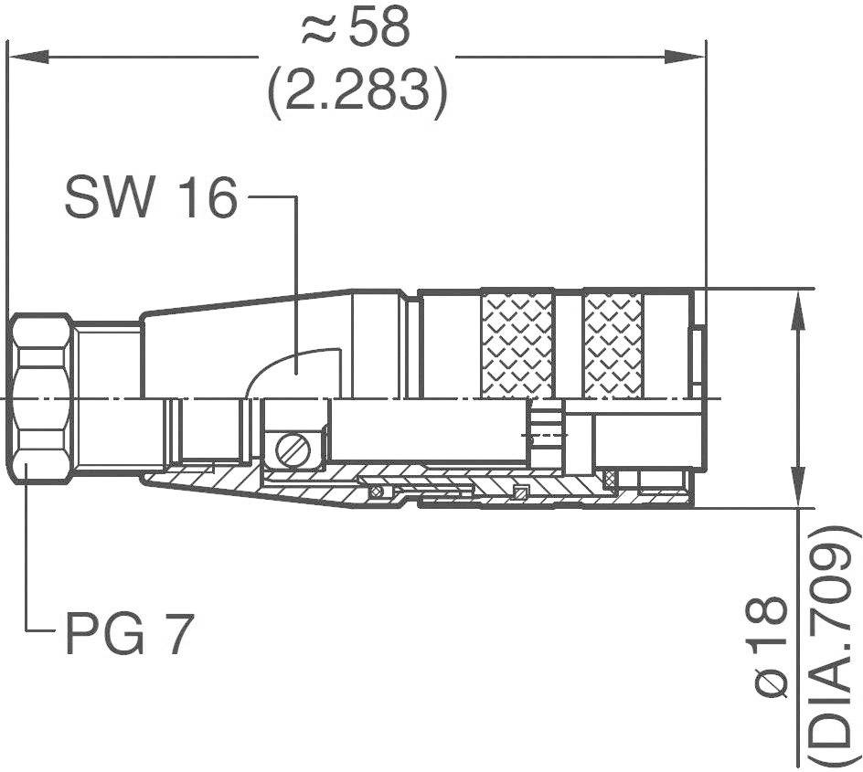 Technische Zeichnung eines Steckers mit Maßen: Länge ca. 58 mm, Breite 18 mm. Bezeichnungen: SW 16, PG 7. Queransicht mit Details.