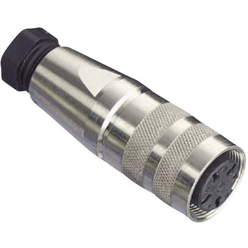 Amphenol C091 31D003 100 2 Rundstecker Kupplung, gerade Gesamtpolzahl: 3 Serie (Rundsteckverbinder): C091 1 St.