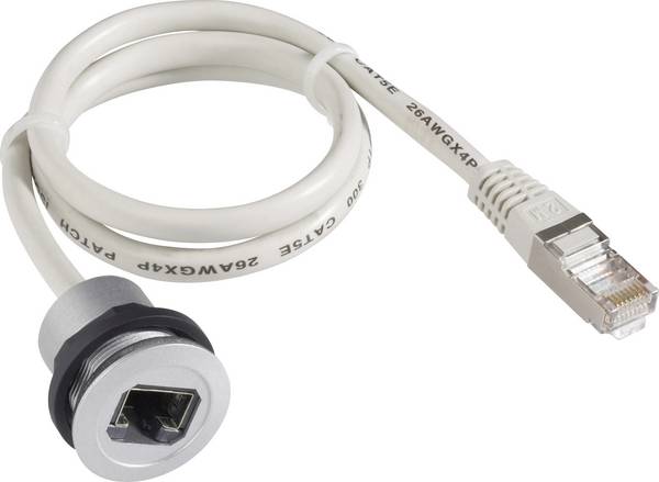 Schlegel RRJ_RJ45 RJ45-Einbaubuchse RRJ_RJ45 Buchse, Einbau, Stecker, gerade Pole: 8P8C Grau 1 St.