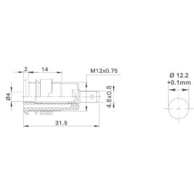 'Schnittzeichnung eines zylindrischen Gegenstands mit M12x0,75-Gewinde, Gesamtlänge 31,5 mm, Bohrung mit Ø12,2 +0,1 mm.'