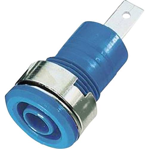 Stäubli SLB4-F/A Sicherheits-Laborbuchse Buchse, Einbau Blau 1 St.