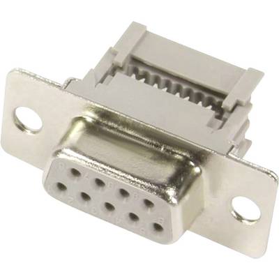 Serieller 9-poliger D-Sub-Steckverbinder, auch COM-Port genannt, an Computer häufig für serielle Datenübertragung verwendet.