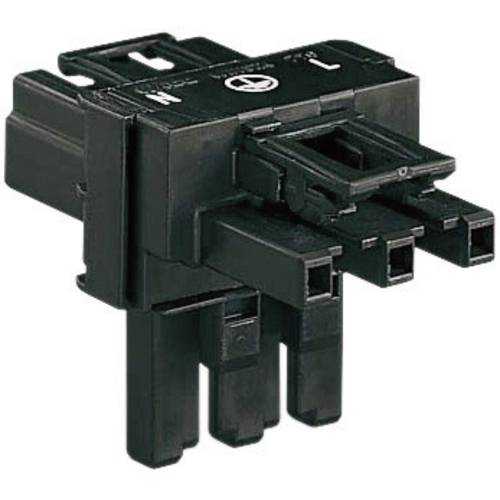 WAGO Netz-T-Verteiler Netz-Stecker - Netz-Buchse, Netz-Buchse Gesamtpolzahl: 2 + PE Schwarz 1 St.