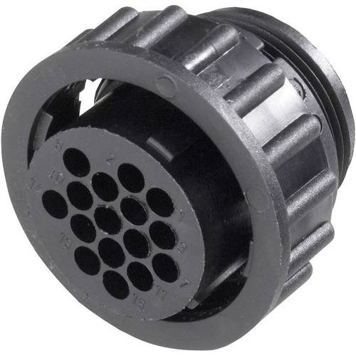 Thumbnail - TE Connectivity 182645-1 Rundstecker Buchse, gerade Gesamtpolzahl: 9 Serie (Rundsteckverbinder): CPC 1 St.