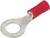 Ein rotes Kabelschuhringterminal, das in elektrischen Verbindungen verwendet wird. Es hat einen Metallring für die Schraubbefestigung.