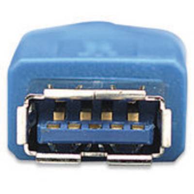 'Nahaufnahme eines blauen USB 3.0 Steckers, zeigt die Pins auf der Vorderseite.'