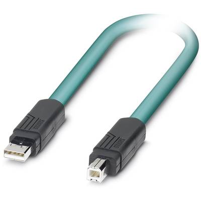 Ein grünes USB-Kabel mit einem USB Typ A Stecker auf der linken Seite und einem Typ B Stecker auf der rechten Seite.