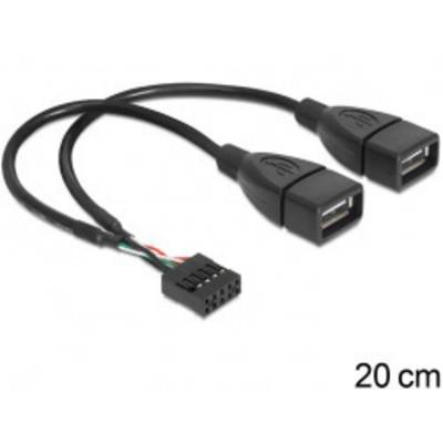 Dual-USB-Kabel, 20 cm lang, mit einem 9-poligen Anschluss auf der einen Seite und zwei USB-Anschlüssen auf der anderen.