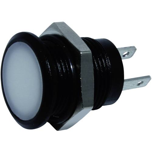 Signal Construct SKED12614 LED-Signalleuchte Weiß 24 V/DC 1240 mcd