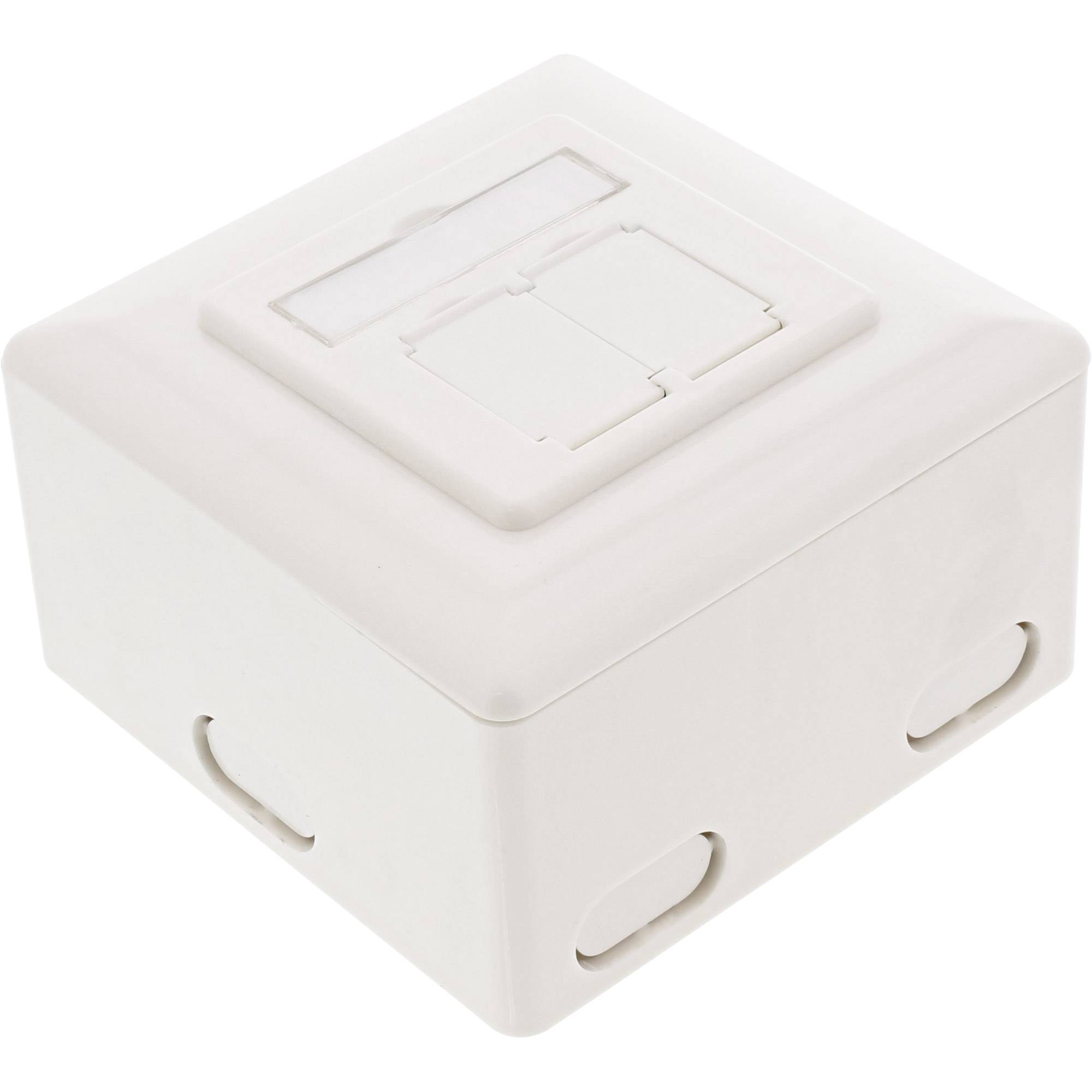 InLine® Cat.6 Anschlussdose, AP/UP 2x RJ45 Buchse, RAL9010, weiß, waagerecht-1