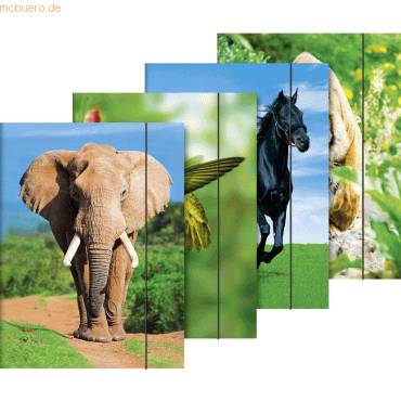 Sammelmappe A3 Karton Motiv Tiere sortiert-0