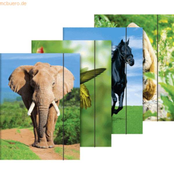 Sammelmappe A3 Karton Motiv Tiere sortiert
