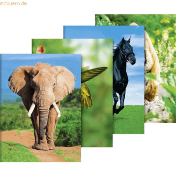Sammelmappe A3 Karton Tiere Motive sortiert