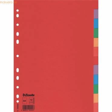 Kartonregister Blanko-0