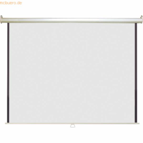 Rolloleinwand X-tra! Line manuell 246x240 cm Typ D