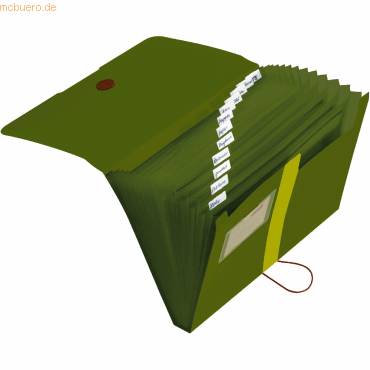 Fächermappe 12Fächer Recycling PP dunkelgrün-1