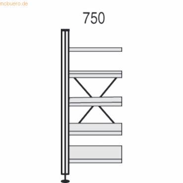 Bibliotheks-Regal libra Regalfeld BxTxH 75x30x193cm Holzböden Buchedekor-0