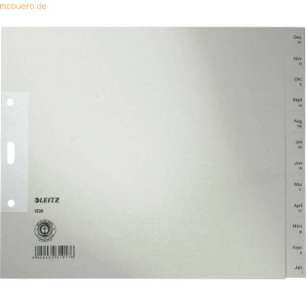 ESSELTE LEITZ - Leitz - Trennelement - 12 Teile - vorgedruckt: Dez-Jan - für A4 (210 x 297 mm)