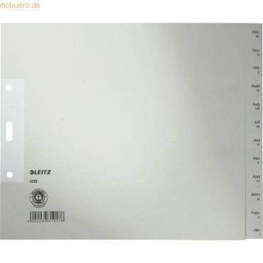 ESSELTE LEITZ - Leitz - Trennelement - 12 Teile - vorgedruckt: Dez-Jan - für A4 (210 x 297 mm)-0