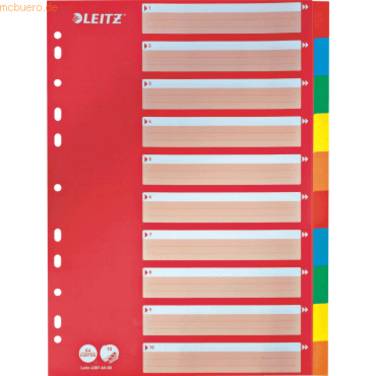 Kartonregister Blanko